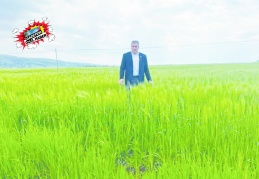 Hububatta, son yılların en yüksek rekoltesini elde edilebiliriz