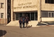 Gaziantep'te 7 günde yapılan terör operasyonlarında 22 kişi yakalandı