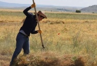 TZOB Başkanı Şemsi Bayraktar: 'Çiftçiler ödeme güçlüğü çekiyor'