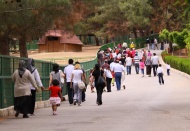 Türkiye’nin ilk “Tropik Uğur Böceği Bahçesi” açılacak