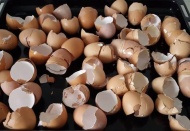 Kemik erimesinden cilt temizlenmesine yumurta kabuğu