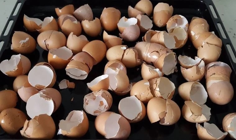 Kemik erimesinden cilt temizlenmesine yumurta kabuğu