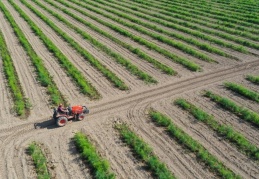 Tarımda maliyetler yüzde 106 oranında arttı