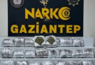 24 kilo skunk ele geçirildi