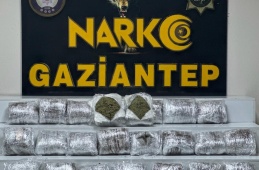 24 kilo skunk ele geçirildi