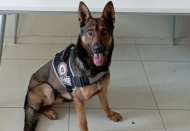 Uyuşturucudan 3 bin 880 gözaltı