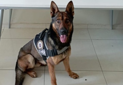 Uyuşturucudan 3 bin 880 gözaltı