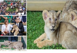 Dördüzlerin keyfi yerinde…