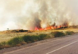 Buğday tarlası küle döndü