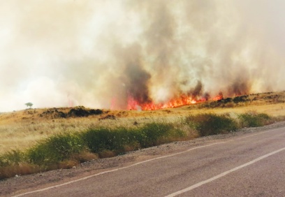 Buğday tarlası küle döndü