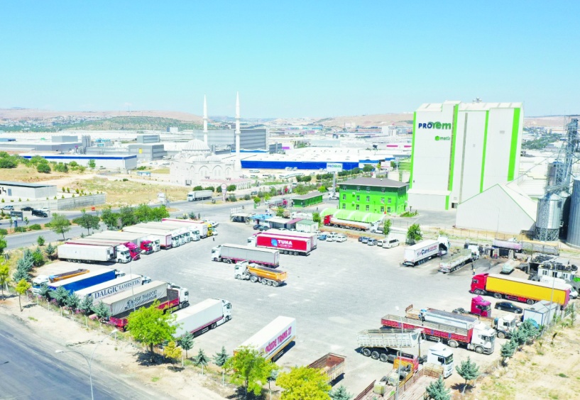 Kapanan şirket ve kooperatif sayısı arttı