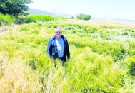 Yararlı mikroorganizmalar, böcekler ve besin elementleri yok ediliyor