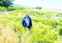 Yararlı mikroorganizmalar, böcekler ve besin elementleri yok ediliyor