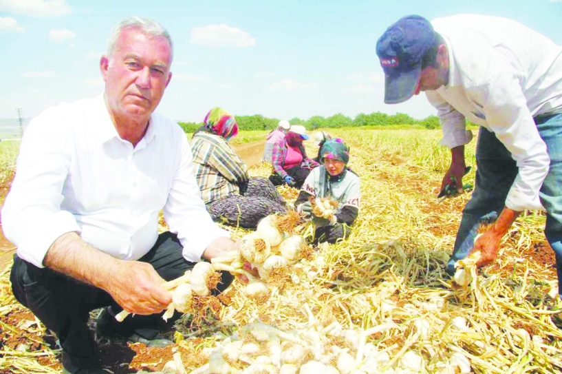 Üretici ucuza satıyor, tüketici pahalı tüketiyor