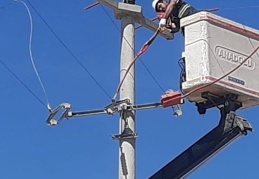 Toroslar EDAŞ, hatlarını yalıtarak kuşları koruyor