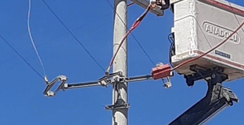 Toroslar EDAŞ, hatlarını yalıtarak kuşları koruyor