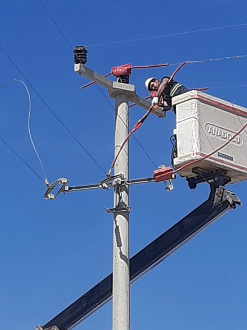 Toroslar EDAŞ, hatlarını yalıtarak kuşları koruyor