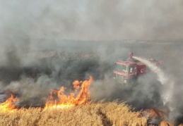 Suriye sınırında yeniden dumanlar yükseldi