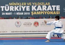 Gaziantep’ten karateciler, Kırşehir'de,Karate Küçükler Yıldızlar Türkiye Şampiyonası’na katılacak