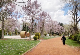 Parklar, en fazla zaman geçirilen alanlar oluyor