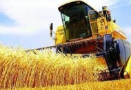 Mayıs'ta tarımda yıllık üretici enflasyonu yüzde 50,79