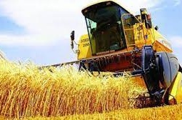 Mayıs'ta tarımda yıllık üretici enflasyonu yüzde 50,79