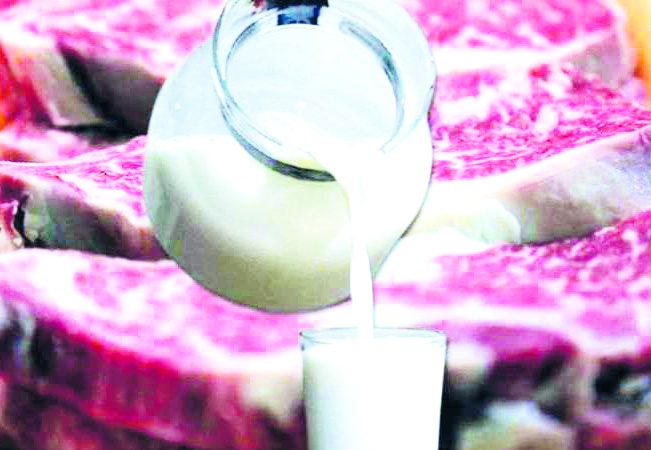 10 lira olan bir kilo yoğurt bugün 30 liraya satılıyor