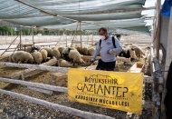 31 kurban kesim yeri hazırlandı