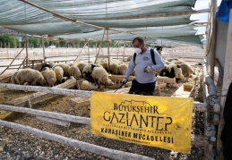 31 kurban kesim yeri hazırlandı