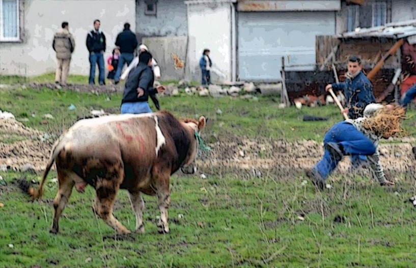 Kurbanlar direndi, tüm ülkede en az bin erkek kendisini kesti