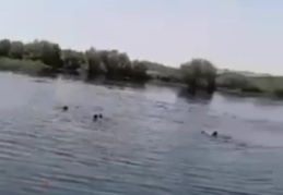 Suda dakikalarca çırpındılar