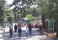 Doğal Yaşam Parkı’nı 100 bin kişi gezdi