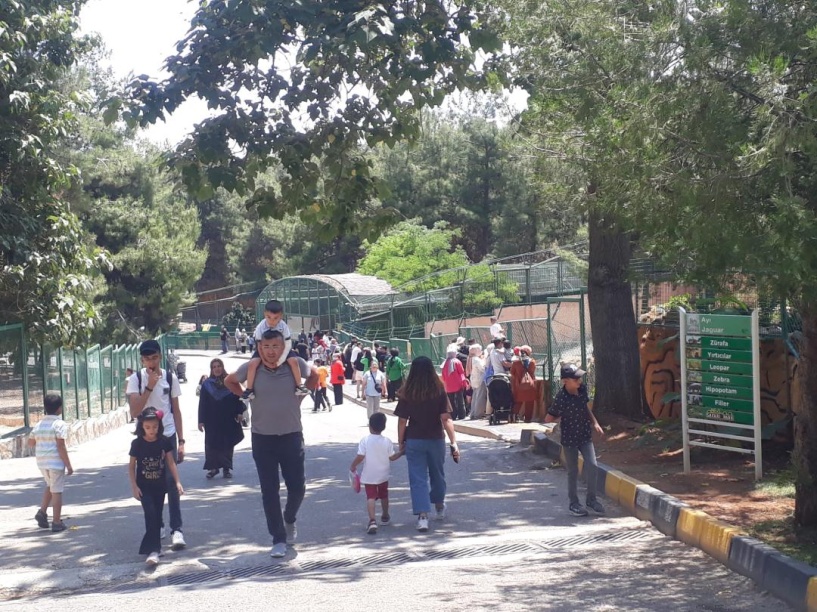 Doğal Yaşam Parkı’nı 100 bin kişi gezdi