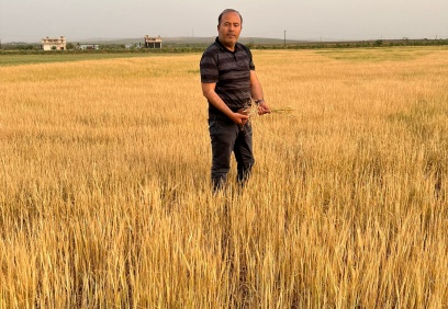 Çiftçilerimiz iyi bir hasat dönemi geçirdi