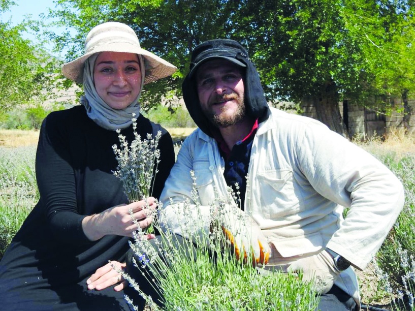 Kilis’te lavanta bahçesi kurdular