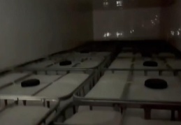 Sahte alkol üreticileri işbaşında