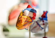 D vitamini eksikliğinde kalp damar hastalıklarındaki artış net