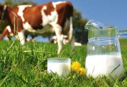 Çiğ süte yüzde 35 zam geldi