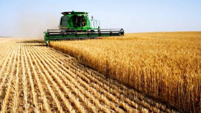 Tarım üretiminde enflasyon yüzde 58’e ulaştı