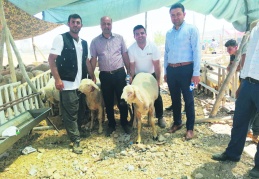 Kişi başına düşen hayvan sayısı azaldı