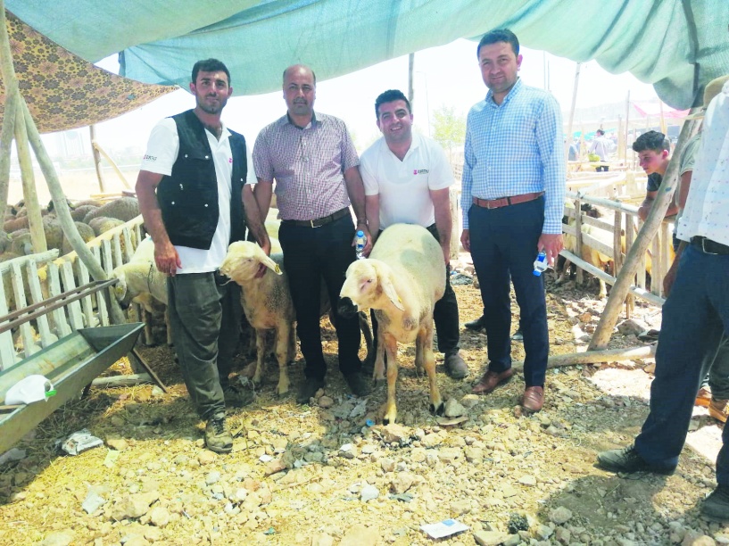 Kişi başına düşen hayvan sayısı azaldı