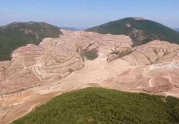 Kaz Dağları’nda rant için doğa katliamı sürüyor