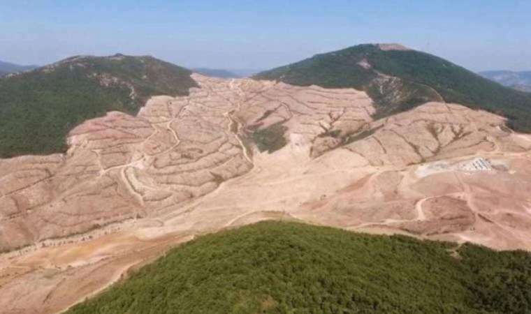 Kaz Dağları’nda rant için doğa katliamı sürüyor