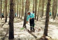 Büyükşehir, orman yangını için tedbirleri artırdı