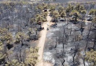 Nurdağı’nda 58 hektar ormanlık alan kül oldu