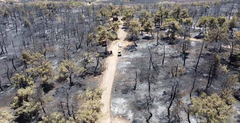 Nurdağı’nda 58 hektar ormanlık alan kül oldu