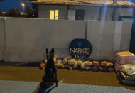 Biber salçalı, zeytinyağlı uyuşturucu