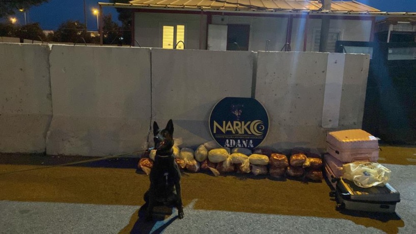 Biber salçalı, zeytinyağlı uyuşturucu