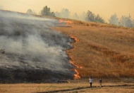 Anız yakmak toprağı öldürüyor