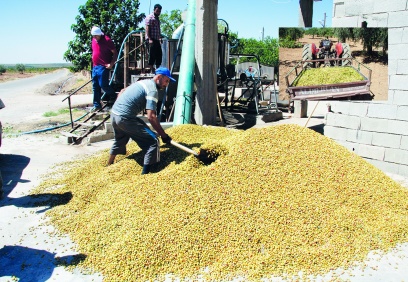Çiftçi emeğinin karşılığını almalı